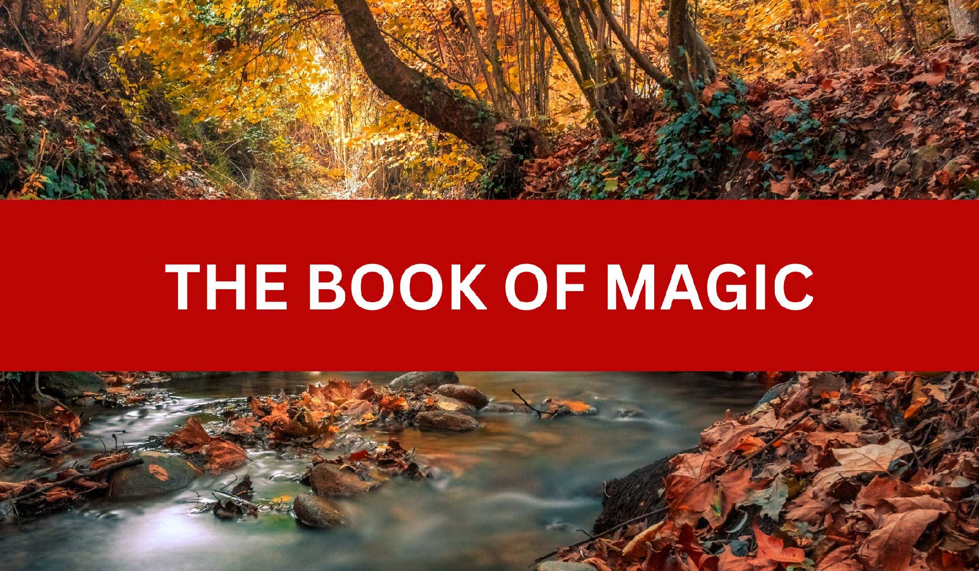 The Book of “Magic”