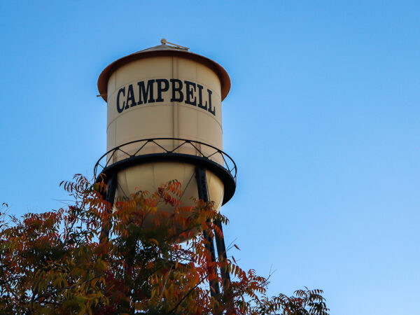 Sleepless in Campbell